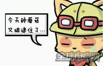 超神套装只需两件!五大装备组合堪称绝配